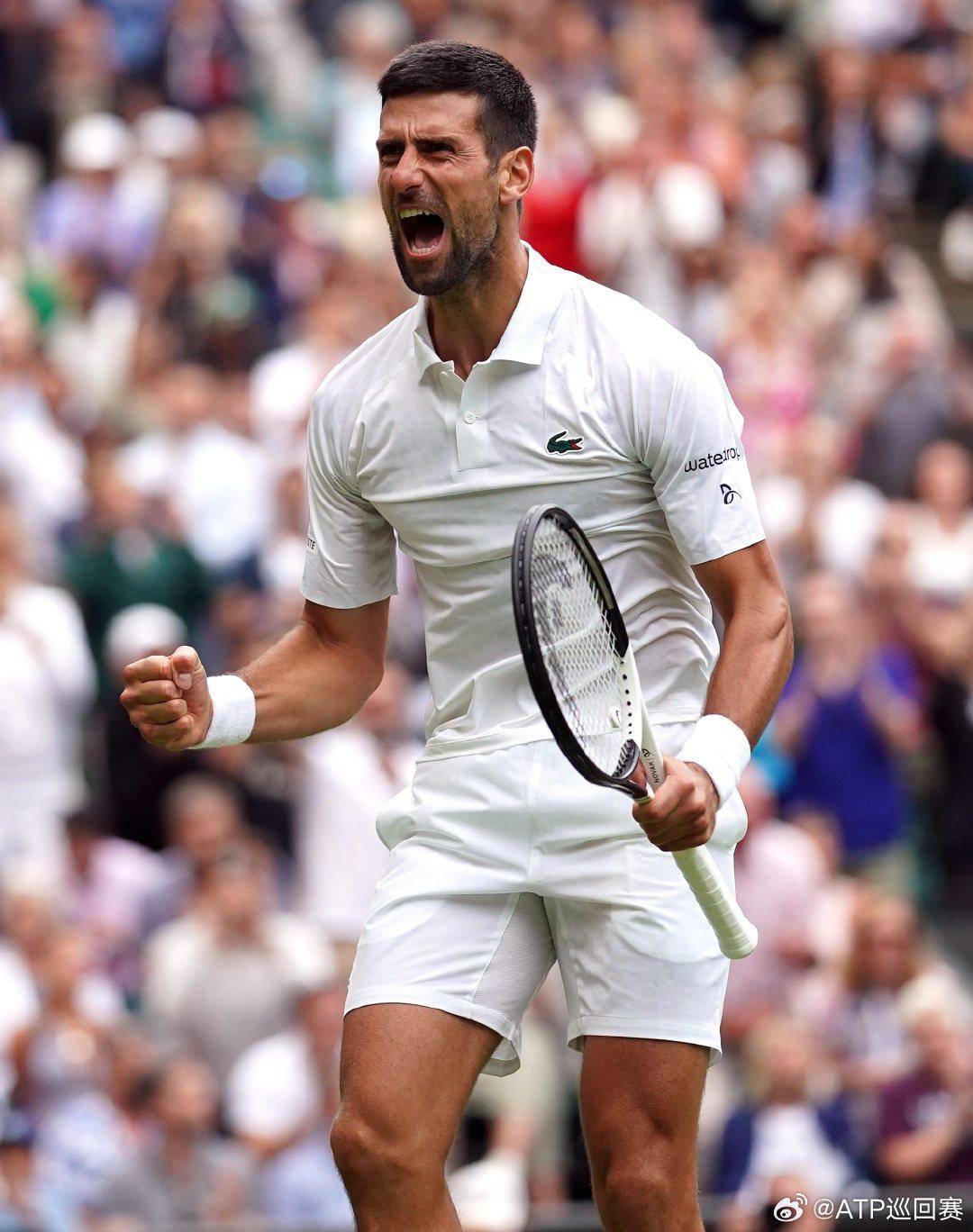 不只是段位 不只是段位